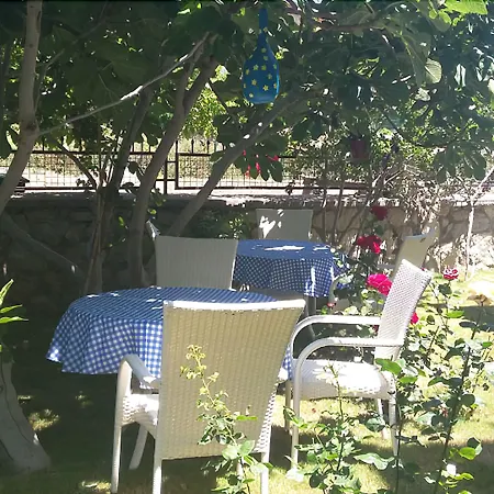 Sato Butik 达特恰