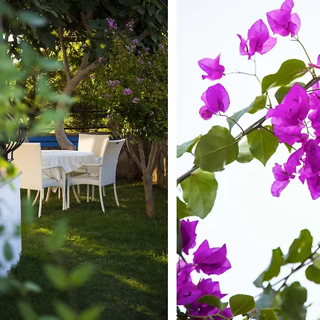 Sato Butik 达特恰