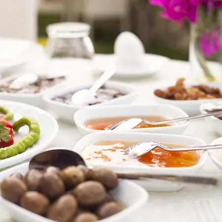 酒店 Sato Butik 达特恰